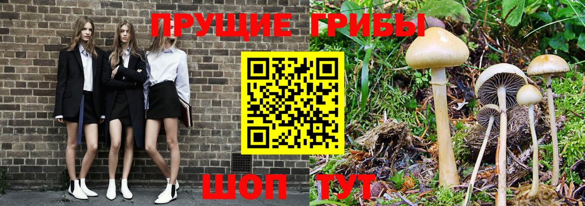 Галлюциногенные грибы прущие грибы  Псилоцибиновые грибы Magic Shrooms  Орёл  закладка  Вход с VPN 